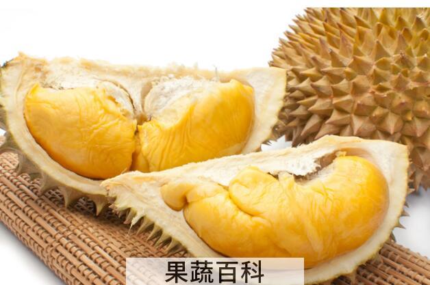 果蔬百科榴莲