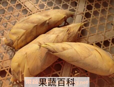  冬笋和春笋的区别