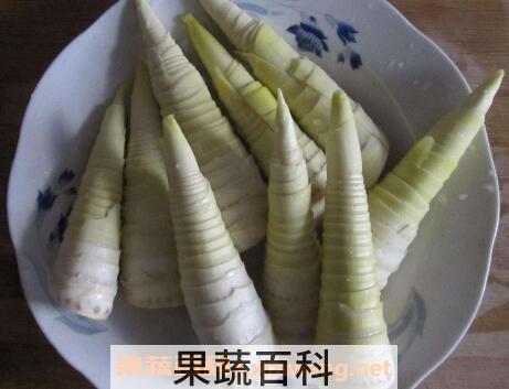  冬笋和春笋的区别