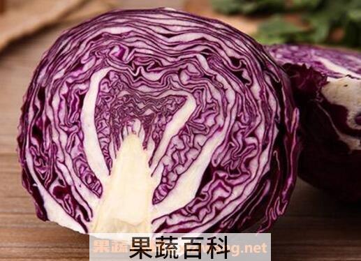 紫卷心菜与什么相克 紫卷心菜搭配什么食材好