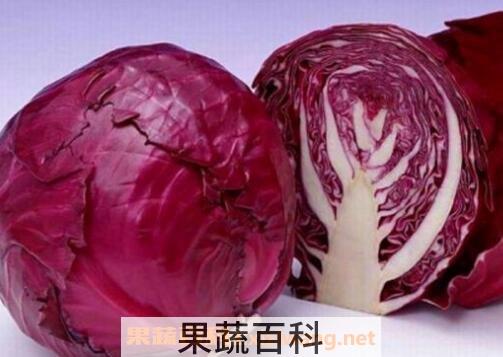 紫卷心菜与什么相克 紫卷心菜搭配什么食材好
