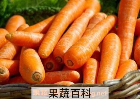 胡萝卜的功效与作用