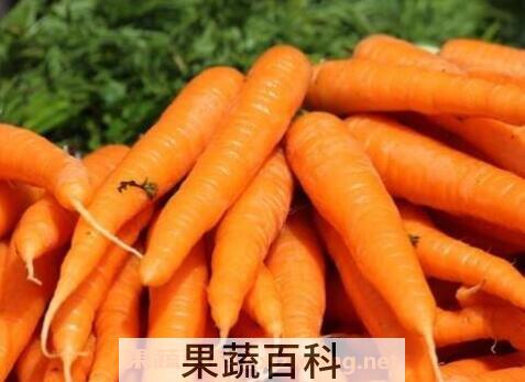 胡萝卜的功效与作用