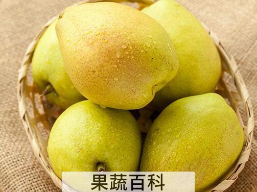 果蔬百科香梨的营养价值