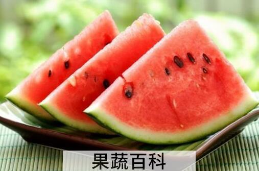 果蔬百科西瓜子能吃吗 