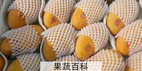 芒果怎样保存