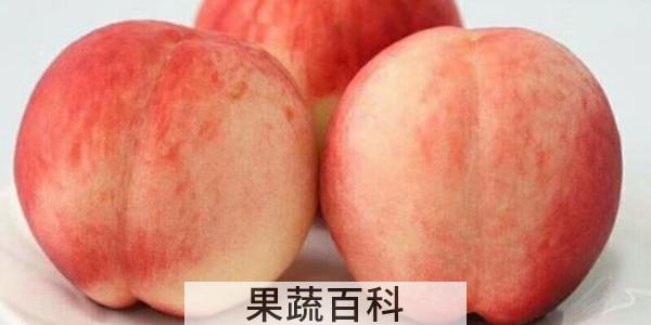 水密桃怎么保鲜不烂