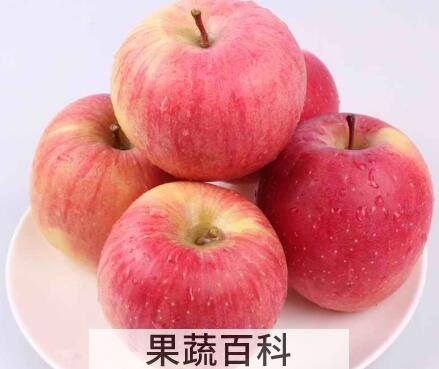 果蔬百科空腹吃苹果好吗