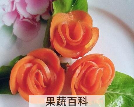 胡萝卜花的功效与作用及制作方法