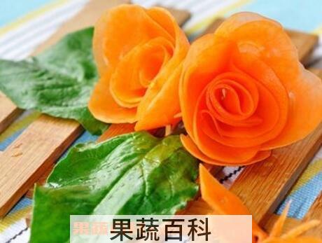 胡萝卜花的功效与作用及制作方法