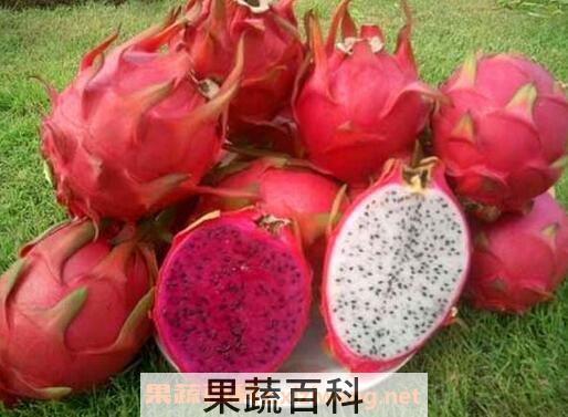 火龙果皮能吃吗 火龙果皮怎么吃