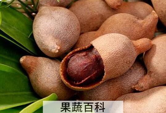 果蔬百科甜角的功效与作用