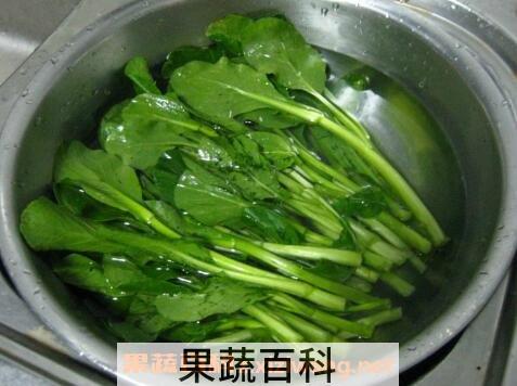 白灼菜苔怎么做好吃