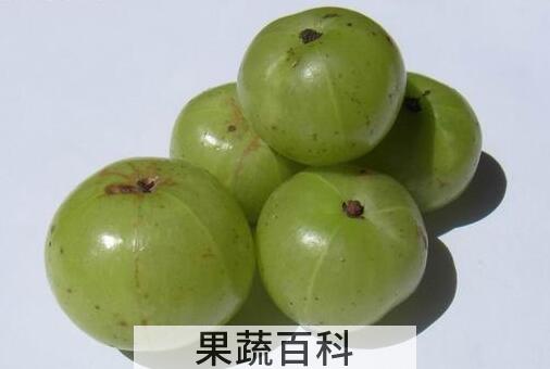果蔬百科余甘果的功效与作用