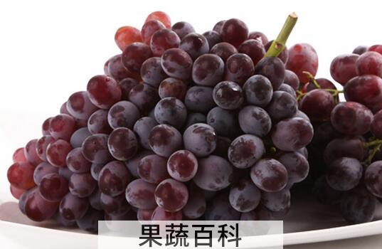 果蔬百科葡萄皮的功效与作用