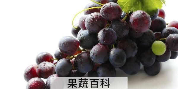 葡萄可以做什么饮品