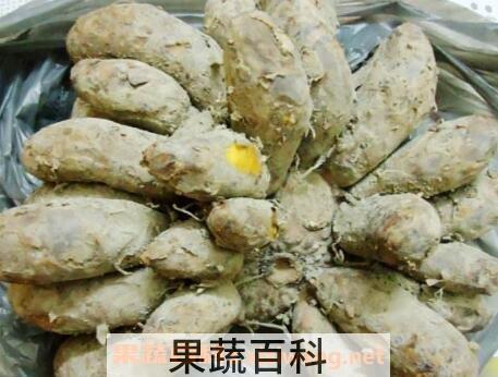 鸡爪芋的功效与作用 鸡爪芋的药用价值