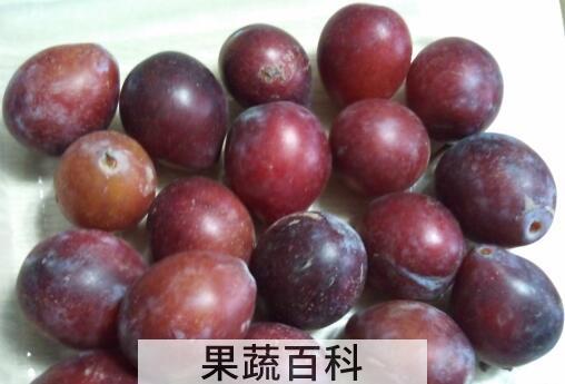 果蔬百科 西梅的营养价值与功效