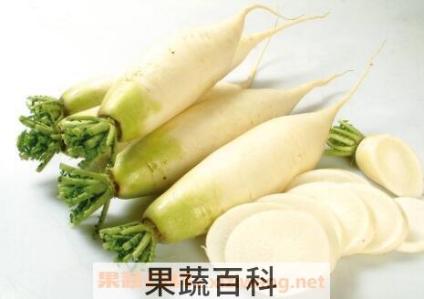 枯萝卜的作用与功效 枯萝卜的药用价值