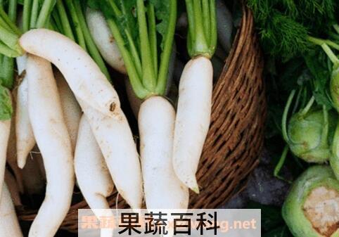 枯萝卜的作用与功效 枯萝卜的药用价值
