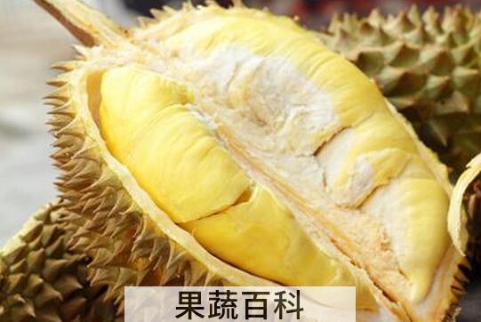 果蔬百科吃榴莲的禁忌