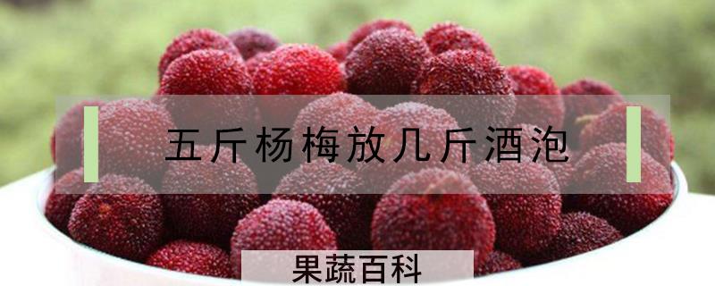 杨梅泡酒需要洗吗