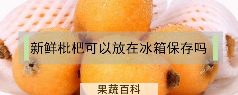 新鲜枇杷可以放在冰箱保存吗