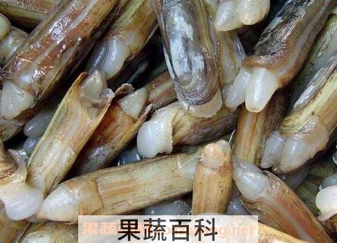 蛏子怎么洗又快又净 蛏子清洗教程