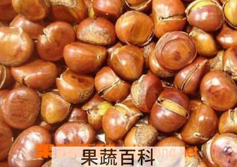 果蔬百科栗子剥皮的小窍门