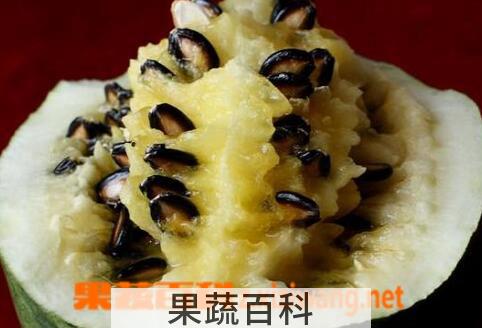 果蔬百科籽瓜的食用禁忌与注意事项