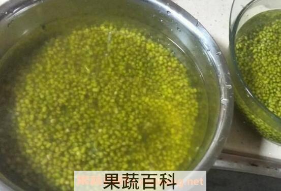绿豆皮的功效与作用及药用价值