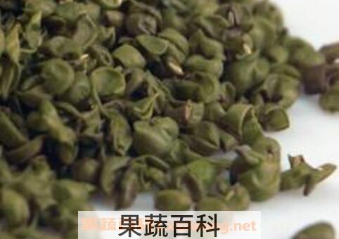 绿豆皮的功效与作用及药用价值