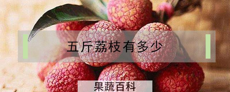 五斤荔枝有多少