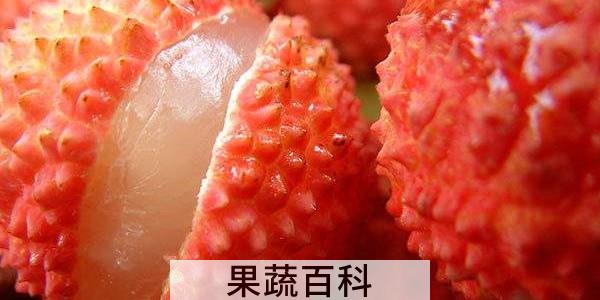 五斤荔枝有多少