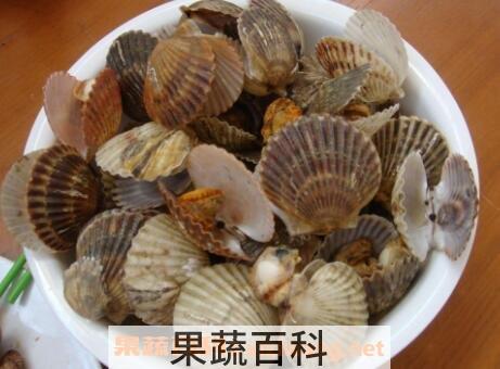 扇贝怎么洗 扇贝的清洗方法教程