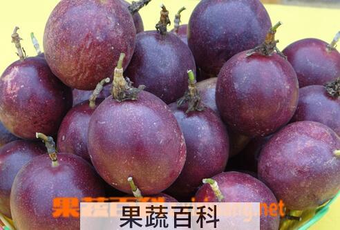 果蔬百科百香果的常见吃法