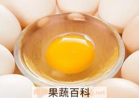 鸡子黄功效与作用及禁忌