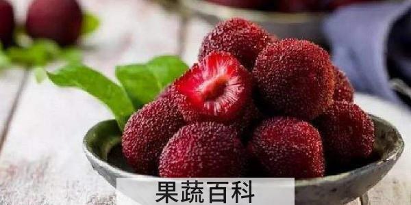 杨梅软了还能吃吗