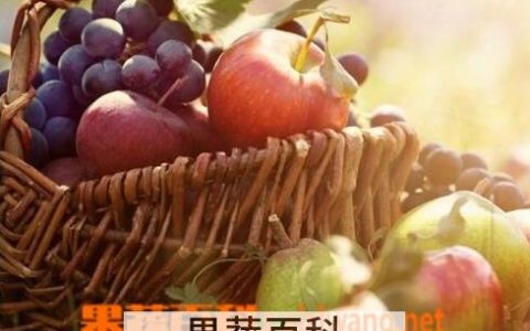 病人不能吃的水果 哪些水果病人可以吃