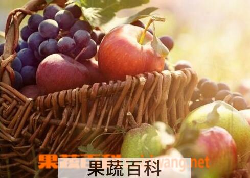 果蔬百科哪些水果病人不能吃