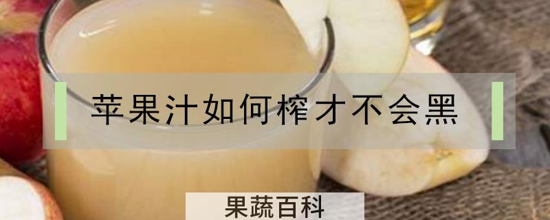 苹果汁如何榨才不会黑