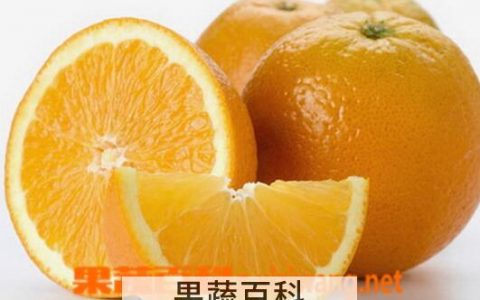 冬季吃啥水果比较好 冬天吃什么水果的季节