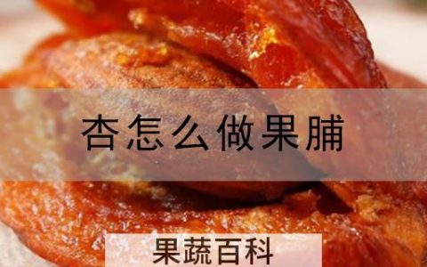 杏怎么做果脯