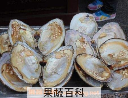 河蚌怎么洗干净 清洗河蚌的技巧