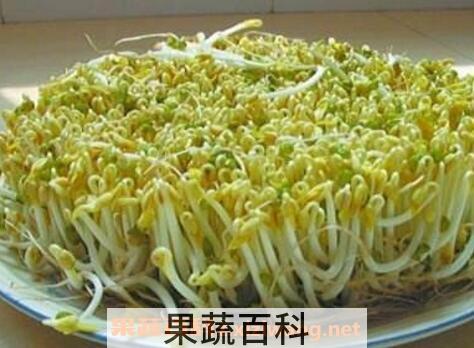 绿豆芽的功效与作用