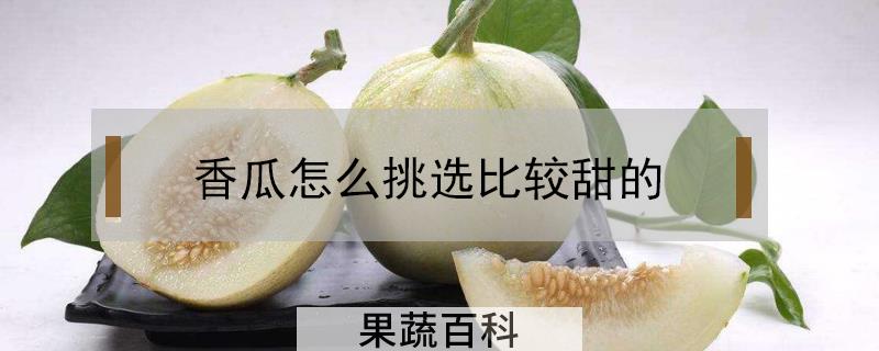 香瓜怎么挑选比较甜的