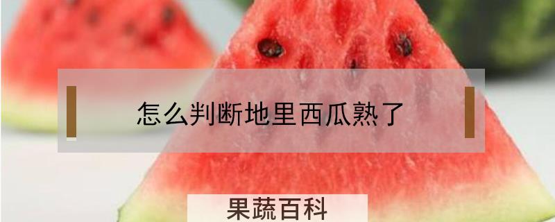 怎么判断地里西瓜熟了