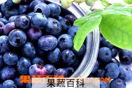 果蔬百科吃蓝莓的好处与坏处