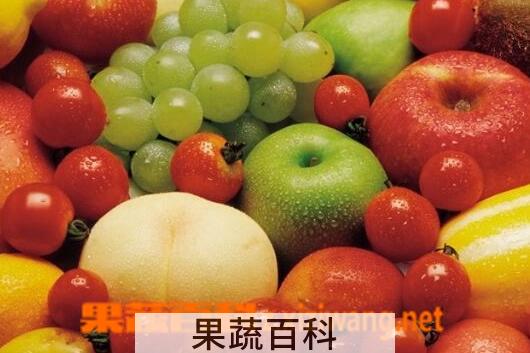 果蔬百科吃反季水果好不好