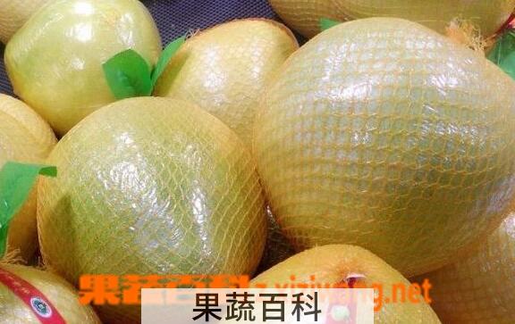 果蔬百科吃什么水果减肥效果好